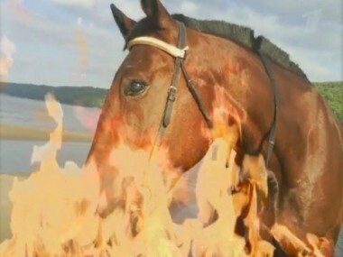 Чума на оба ваши дома. Пусть говорят. Выпуск от 14.03.2011