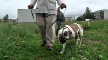 Дама с собачкой. Пусть говорят. Выпуск от 23.07.2012