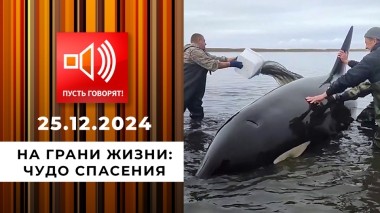 На грани жизни. Эпизод 6. Чудо спасения. Пусть говорят. Выпуск от 25.12.2024