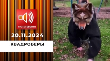 О дивный новый мир. Эпизод 3. Квадроберы. Пусть говорят. Выпуск от 20.11.2024