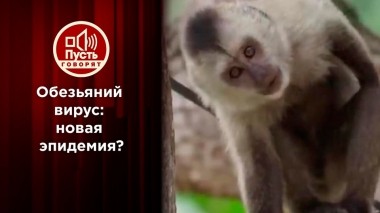 Обезьяний вирус: новая эпидемия? Пусть говорят. Выпуск от 28.05.2022