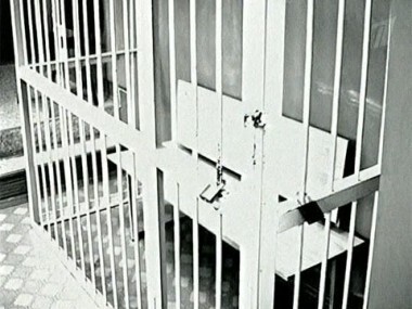 Она заказала убийство. Пусть говорят. Выпуск от 21.12.2010