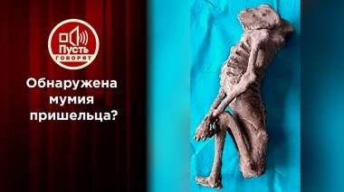 Сенсационная находка рассекречена. Пусть говорят. Выпуск от 21.12.2022