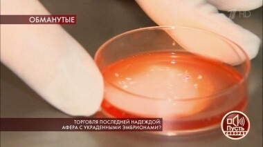 Торговля последней надеждой: афера с украденными эмбрионами? Пусть говорят. Выпуск от 17.12.2019