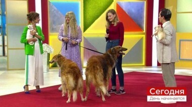 Сегодня 6 сентября. День начинается. Выпуск от 06.09.2018