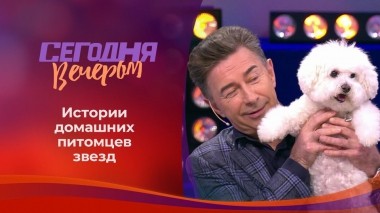 Звездные питомцы. Сегодня вечером. Выпуск от 13.06.2021