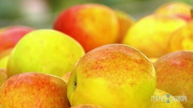 Мифы про натуральные продукты. Теория заговора. Выпуск от 08.09.2018