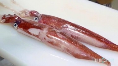 Рыба второй свежести. Теория заговора. Выпуск от 30.03.2019