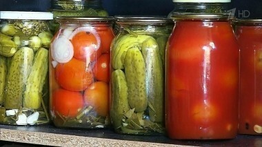 Соленья. Теория заговора. Выпуск от 17.09.2016