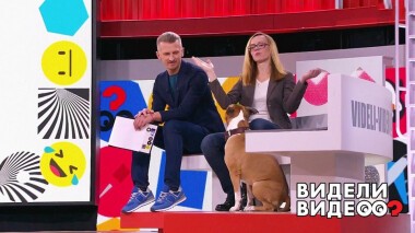 Видели видео? Часть 1. Избранное. Выпуск от 01.09.2019