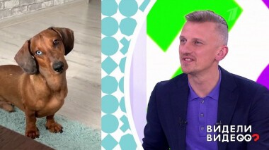 Видели видео? Часть 1. Выпуск от 01.07.2020