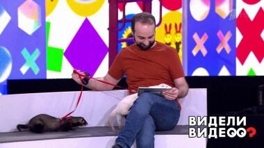 Видели видео? Часть 1. Выпуск от 01.11.2020