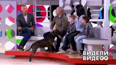 Видели видео? Часть 1. Выпуск от 03.11.2019