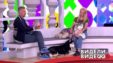 Видели видео? Часть 1. Выпуск от 06.09.2020