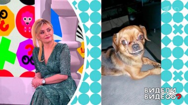 Видели видео? Часть 1. Выпуск от 07.05.2022