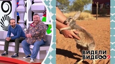 Видели видео? Часть 1. Выпуск от 07.07.2019