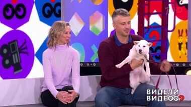 Видели видео? Часть 1. Выпуск от 08.11.2020