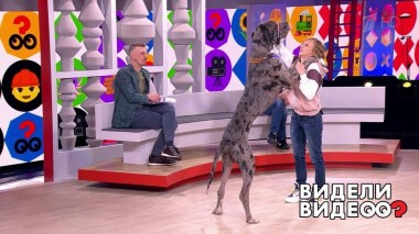 Видели видео? Часть 1. Выпуск от 10.05.2021