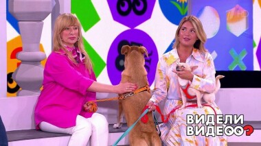 Видели видео? Часть 1. Выпуск от 11.07.2021