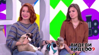 Видели видео? Часть 1. Выпуск от 13.09.2020