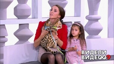 Видели видео? Часть 1. Выпуск от 13.10.2019