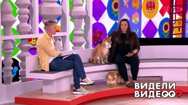 Видели видео? Часть 1. Выпуск от 15.08.2021