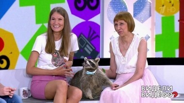 Видели видео? Часть 1. Выпуск от 15.12.2019