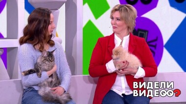 Видели видео? Часть 1. Выпуск от 16.05.2021