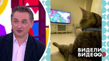 Видели видео? Часть 1. Выпуск от 17.05.2020