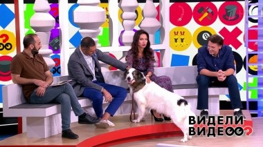 Видели видео? Часть 1. Выпуск от 17.09.2022