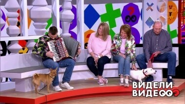 Видели видео? Часть 1. Выпуск от 18.08.2019