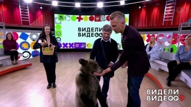 Видели видео? Часть 1. Выпуск от 20.10.2019