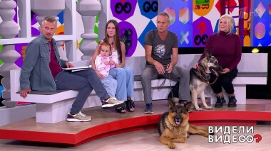 Видели видео? Часть 1. Выпуск от 20.11.2021