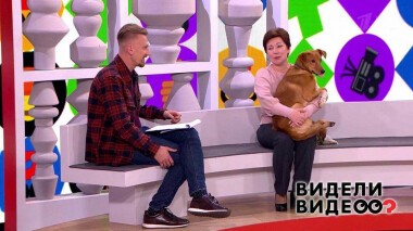 Видели видео? Часть 1. Выпуск от 20.12.2020