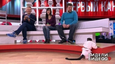 Видели видео? Часть 1. Выпуск от 21.07.2019