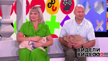 Видели видео? Часть 1. Выпуск от 21.08.2022