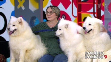 Видели видео? Часть 1. Выпуск от 26.01.2020