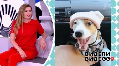 Видели видео? Часть 1. Выпуск от 27.09.2020