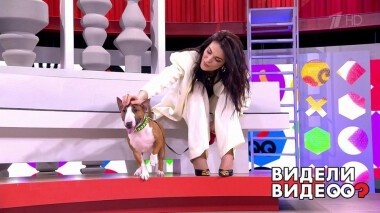 Видели видео? Часть 1. Выпуск от 28.06.2020