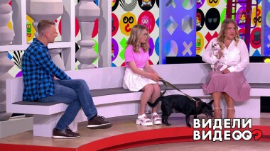 Видели видео? Часть 1. Выпуск от 28.08.2022