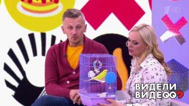 Видели видео? Часть 1. Выпуск от 29.03.2020