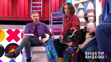 Видели видео? Часть 1. Выпуск от 29.11.2020