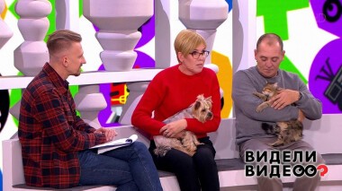 Видели видео? Часть 1. Выпуск от 30.10.2021