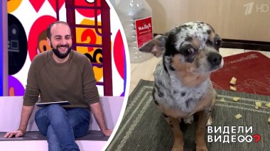 Видели видео? Часть 1. Выпуск от 31.01.2021