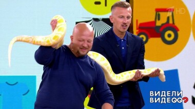 Видели видео? Часть 2. Избранное. Выпуск от 15.09.2019