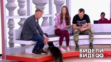 Видели видео? Часть 2. Выпуск от 03.11.2019