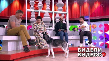 Видели видео? Часть 2. Выпуск от 04.10.2020