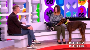 Видели видео? Часть 2. Выпуск от 06.12.2020