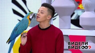 Видели видео? Часть 2. Выпуск от 07.07.2019