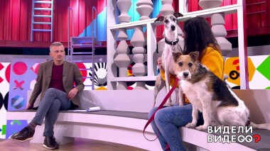 Видели видео? Часть 2. Выпуск от 08.05.2022